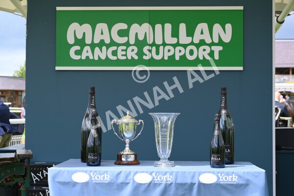 yr11062022r2-102 - Race 2 2.00pm Queen Mother's Cup