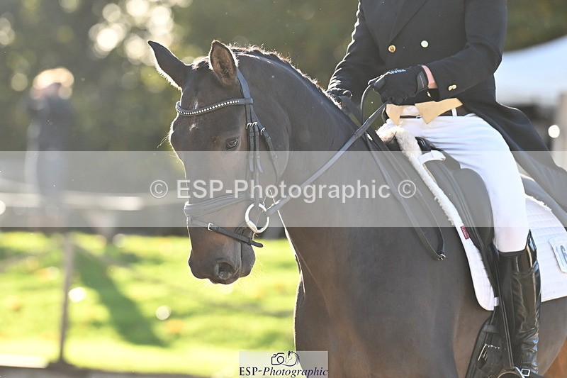 251023A-161106-06010 - B-168-John.Westmore