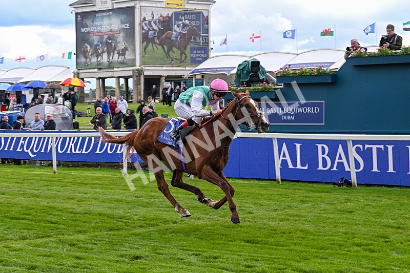 140526-Race 5-Item-5594 - Race 5 4.05pm Al Basti Equiworld Dubai Dante Stakes