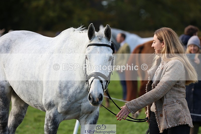 251026A-101840-22871 - D-329-Clementine.Montgomerie