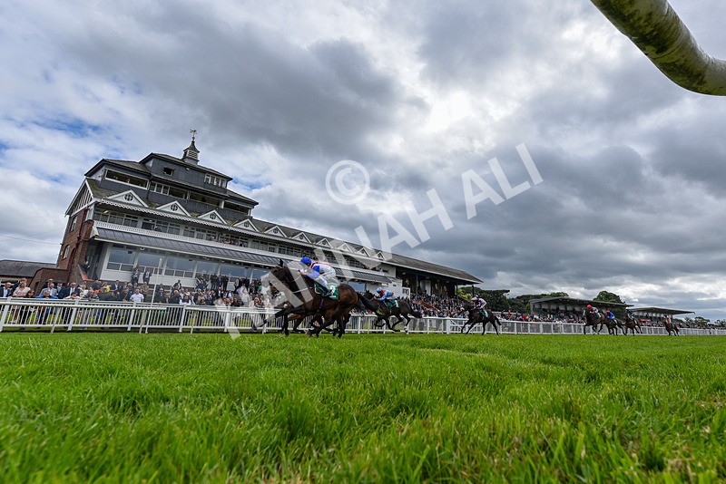 070624-Race 5-Kings Merchant-7904