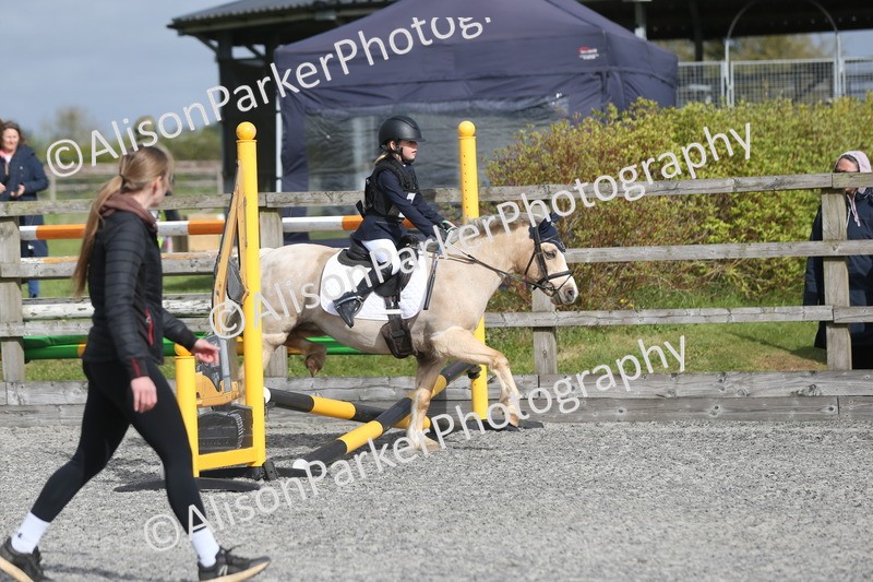 20260412-0103 - Show Jumping