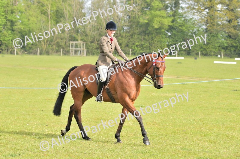 20260426-0847 - Class 18 - Novice Showing