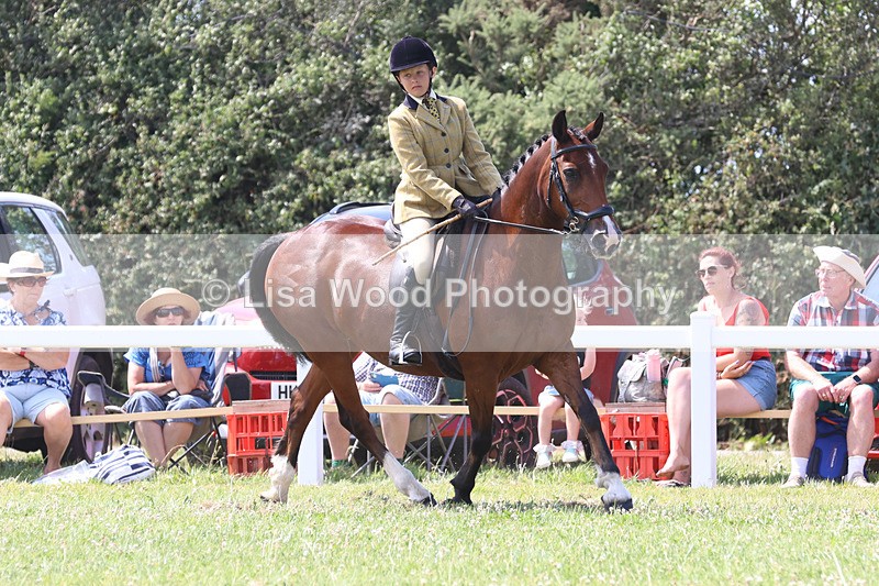 JPP_3356 - Class 22: Working Hunter 70cm
