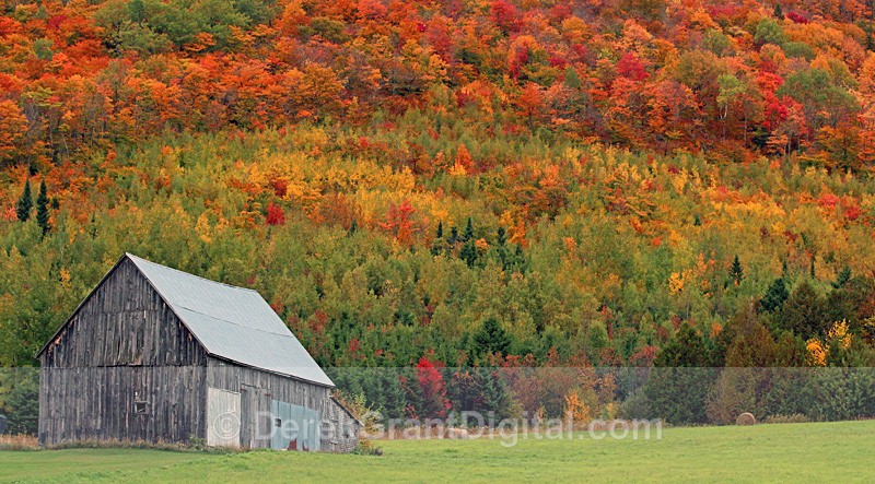 Rural Barn in Autumn NB Canada Fall Foliage