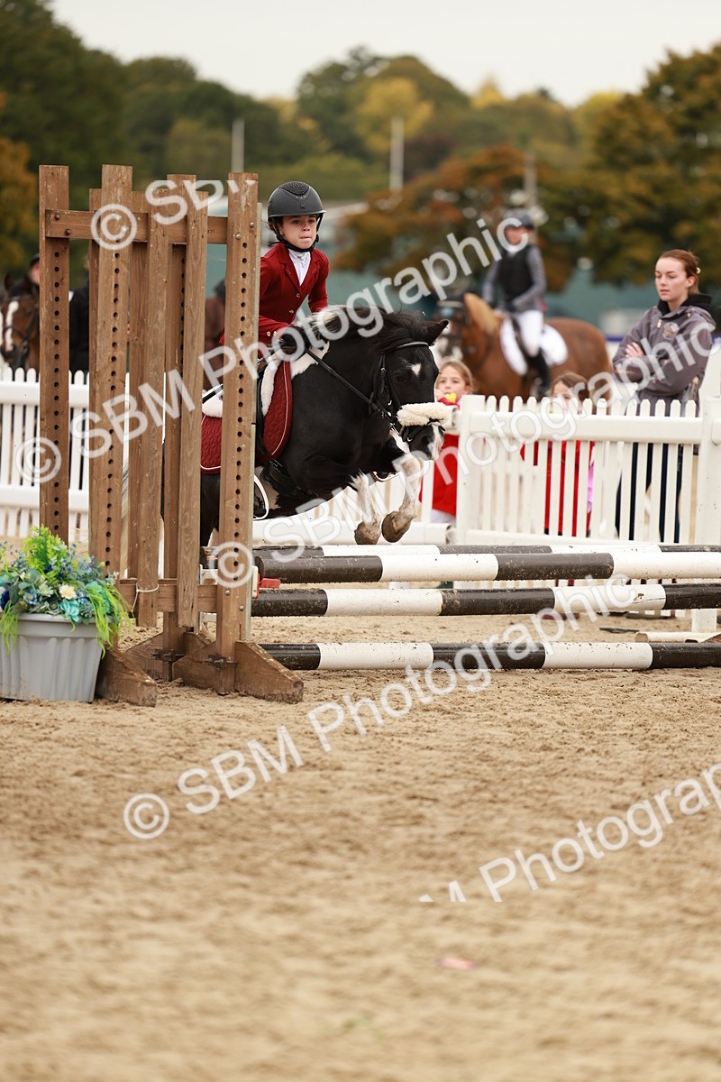 SBM_57928 - J11 - Junior Pony 50cm Championship