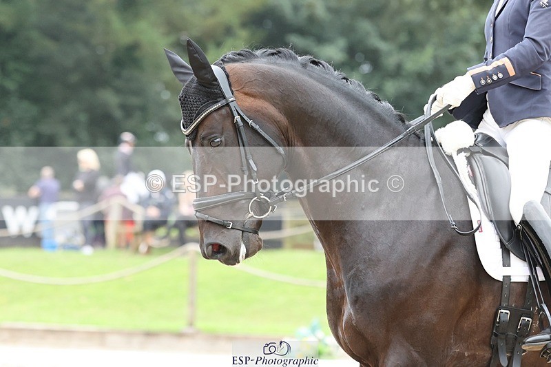 240810-120201-03018 - 302-Alice.Peternell-Vespasiano