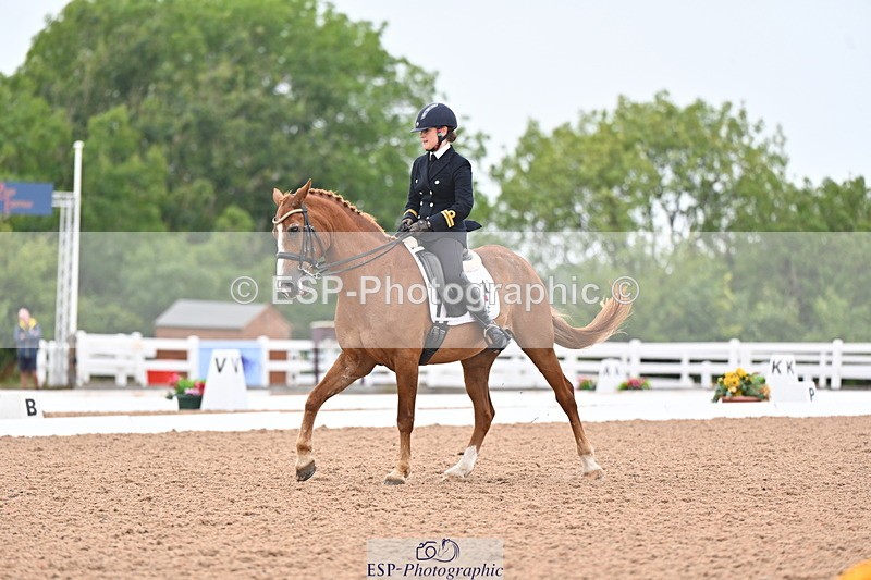 240815A-140216-01738 - 170-India.John-Grayswood.Orlando