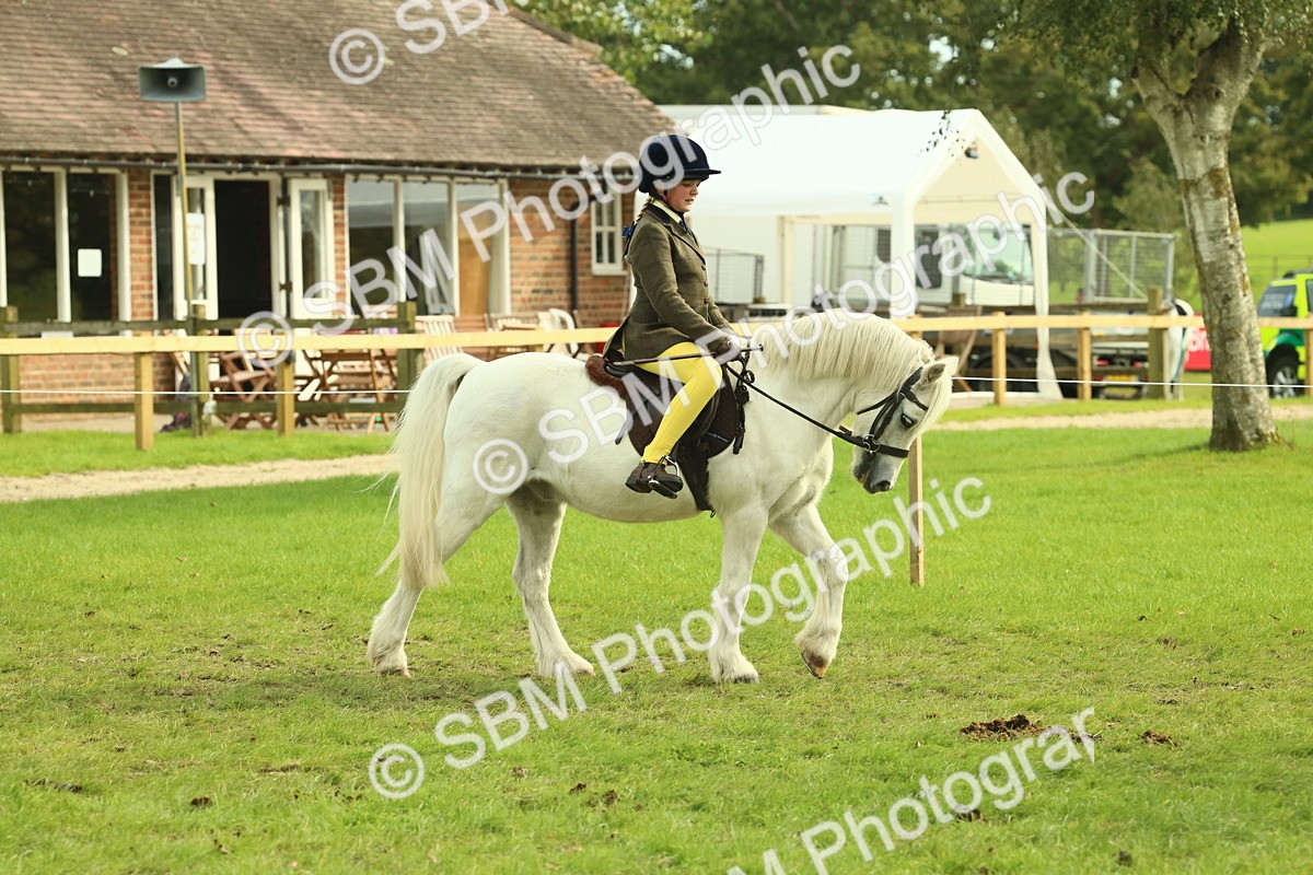 SBM_69770 - S59 - Mountain & Moorland Ridden Small Breeds