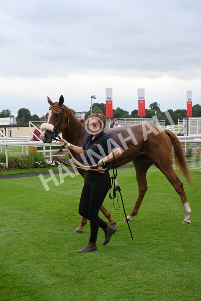 yr24072021r7-75 - Race 7 5.35pm The Sporting Life Fast Results Stakes