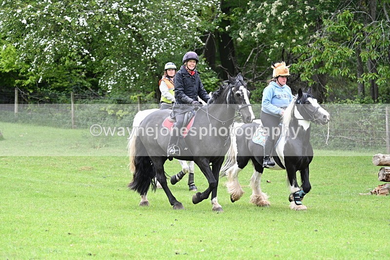 WJ7_2583 - Group 6 A&B Cameras