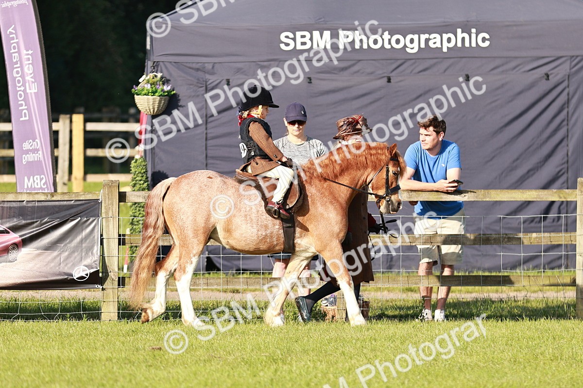 SBM_10996 - Class 106-107 - BSPS LIHS Working Sports Pony