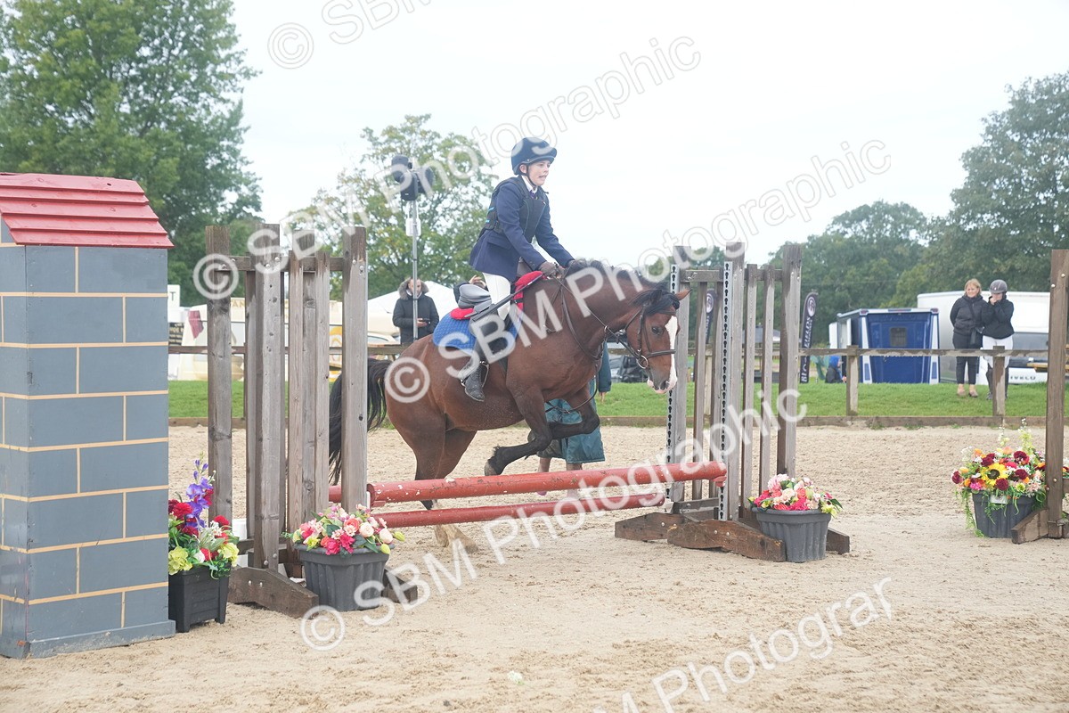 SBM_01900 - J54 - Clear Round 50cm