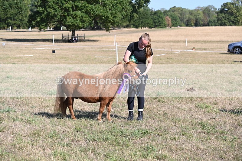WJ6_7350 - Class 33 Rescue Pony