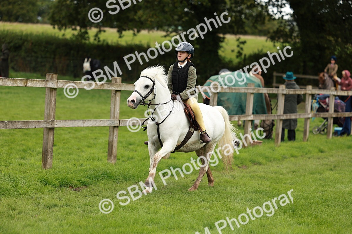 SBM_41803 - S32 - Mountain & Moorland Working Hunter Pony