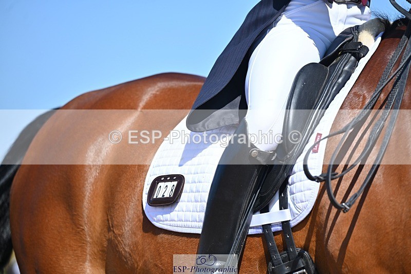 250405-125843-10802 - 028-Elizabeth.Allen-Heraldik