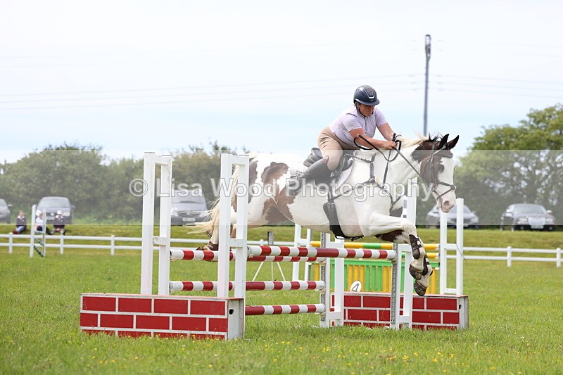 3E7A1838 - Class 13: Senior British Novice/90cm open