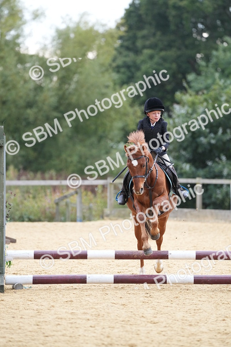 SBM_74615 - J4 - Mini Tour Junior Pony 45cm Championship