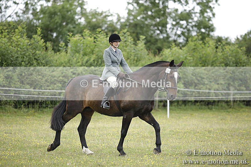 BVR160717-1501 - Ring 1 BVRC Show 16/07/17