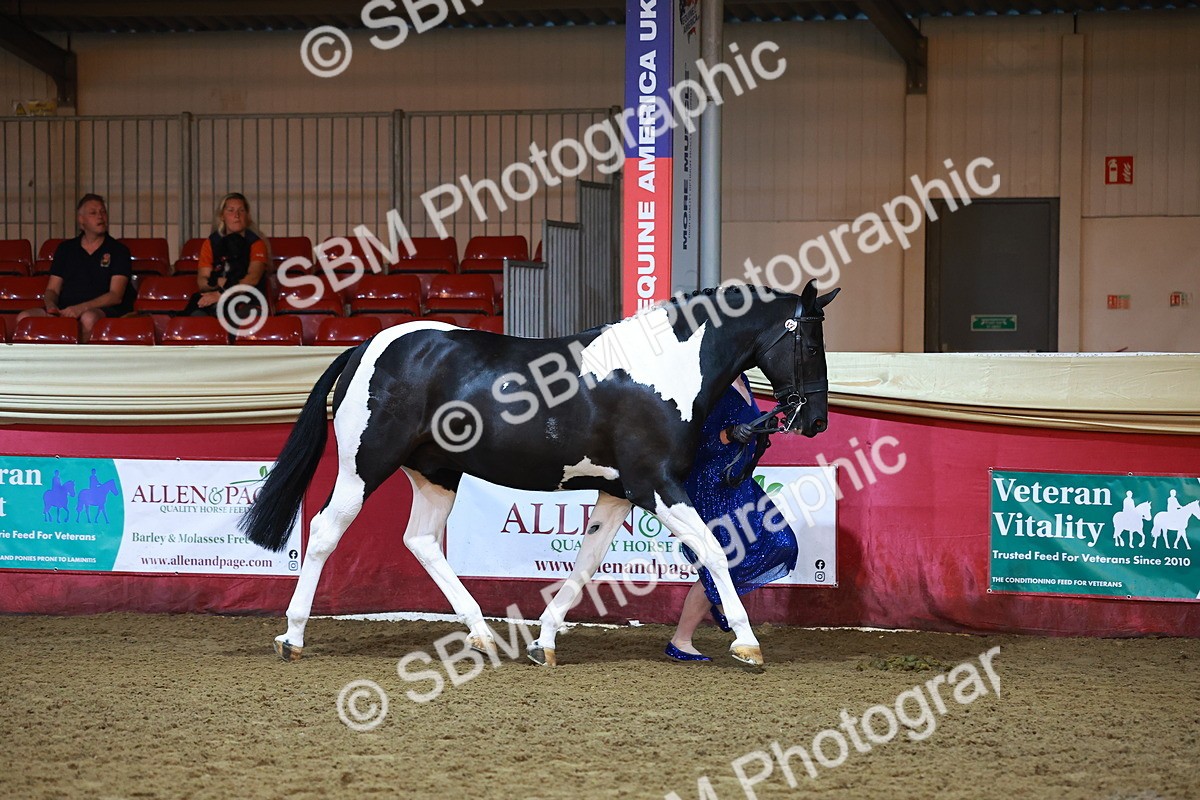 SBM_14803 - Class E - Best Turned Out Champ