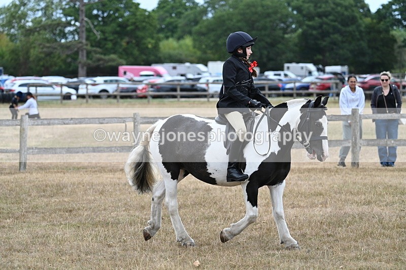 WJ7_7282 - Class 2 Best Rider