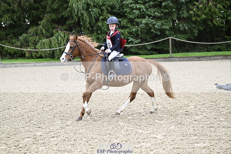 251005A-083340-02817 - Cls 01 GR 40cm