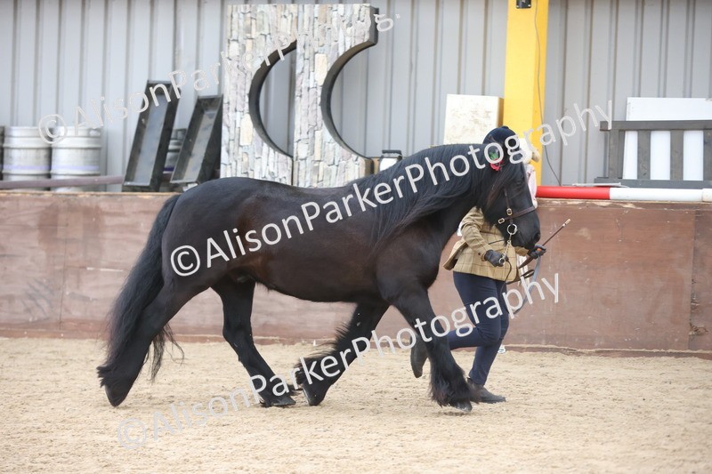 20251109-1217 - Supreme Championship