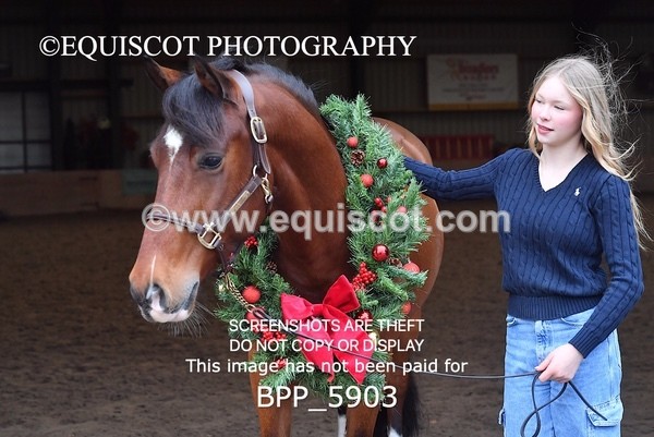 BPP_5903 - Marion West pony 3