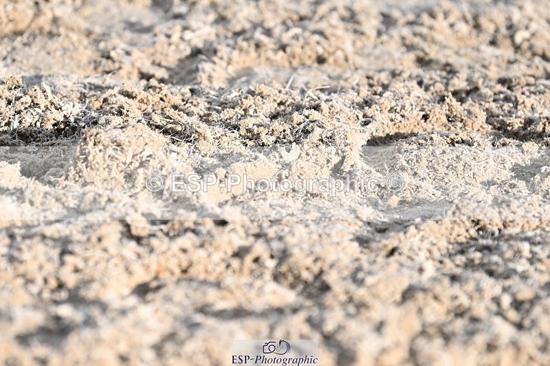 231110-141924-01909 - Cls 7 Medium 61