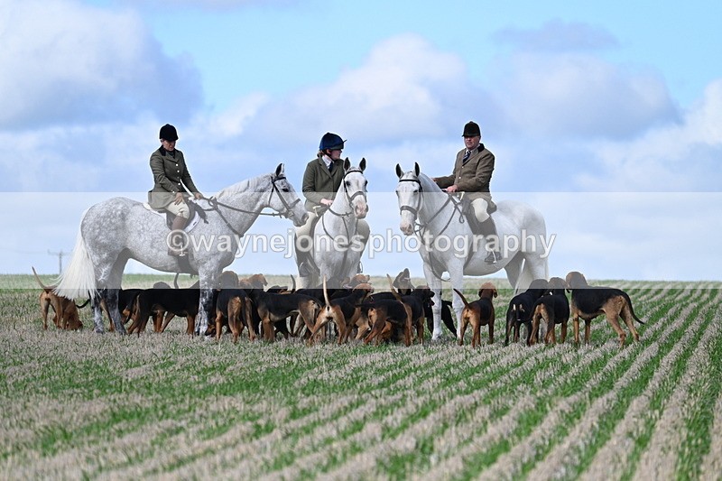 WJ7_5903 - Line One