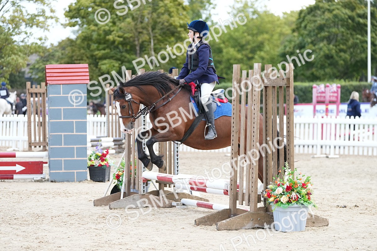 SBM_21067 - J49 - Open 50cm