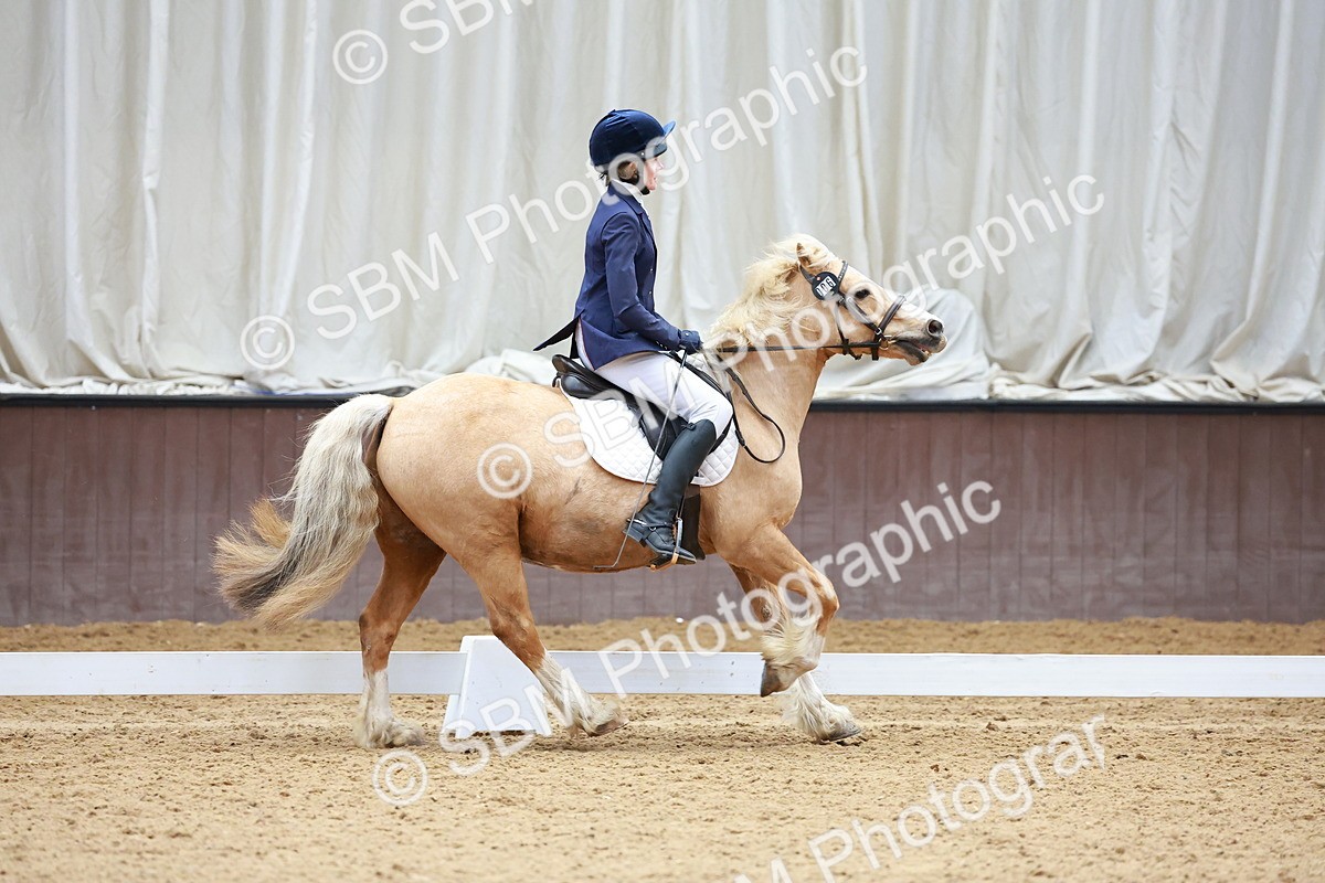 SBM_000578 - Class 4 - CT Prelim 3-70cm