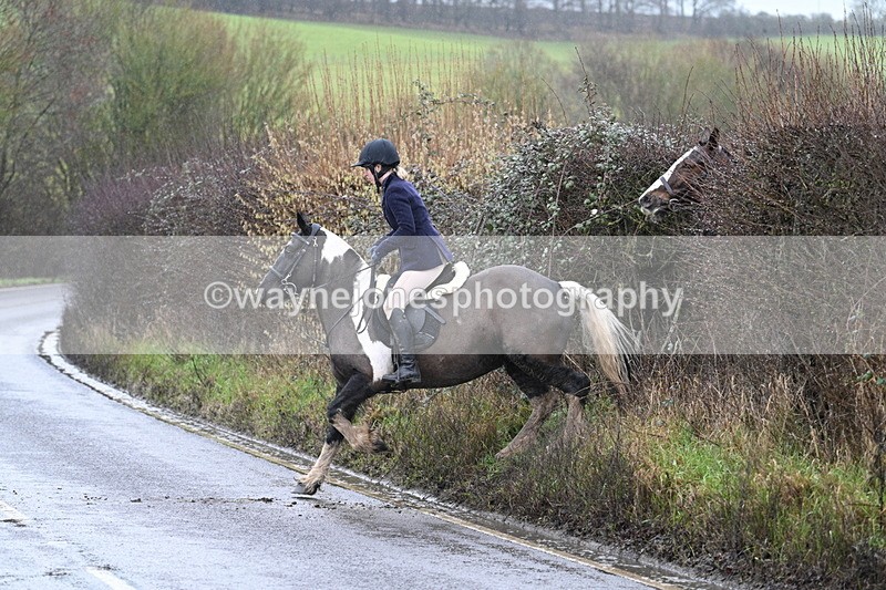 WJ7_7007 - Crossing A Camera