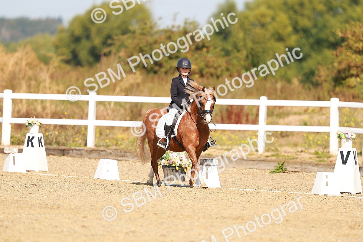 SBM_017566 - Class 9 - N5 Bronze 10.33.11.36