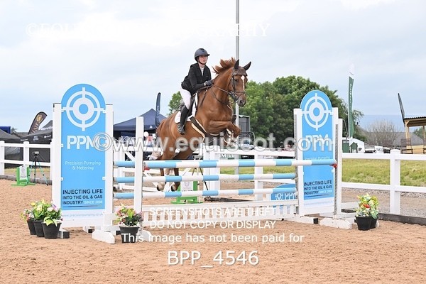 BPP_4546 - CLASS 5 WED Redpost Equestrian Senior Foxhunter/1.20m Open