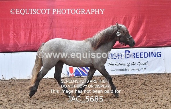 JAC_5685 - 6 Glenmuir Niamh