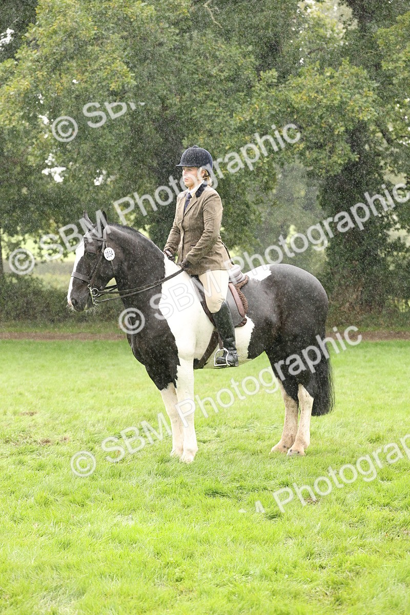 SBM_69840 - S69 - Show Cob Ridden