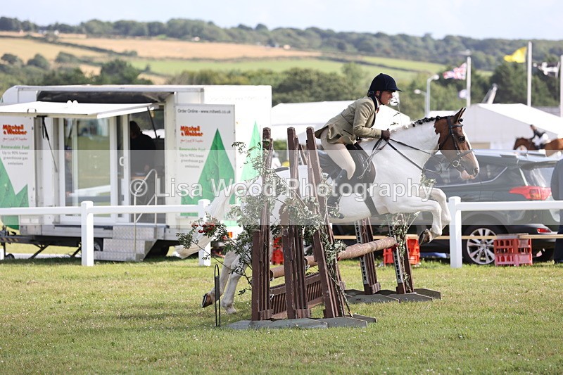 JPP_2816 - Class 20: Working Hunter 70cm