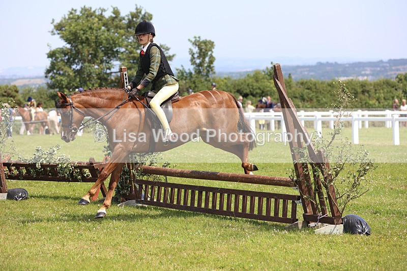 JPP_2567 - Class 21: Working Hunter 60cm