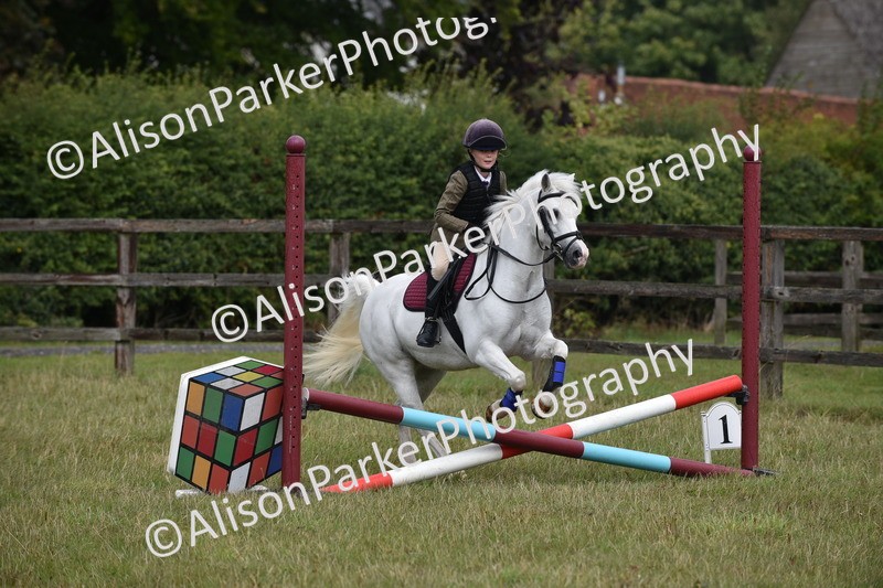 20250831-1869 - Class 9 - Absolute Novice 45cm