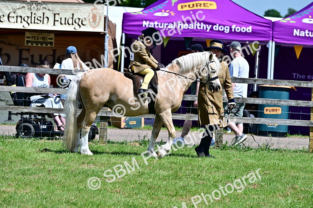 SBM_05934 - Class 59-60 - TSR M&M  Lear Rein and First Ridden Amateur of the year