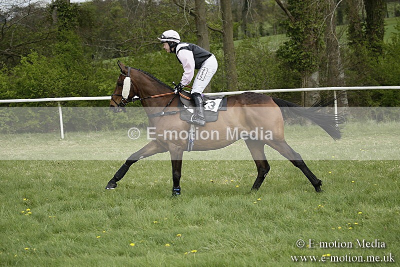 PtP 170417 131 - Old Berks Point-to-Point Lockinge 17/04/17