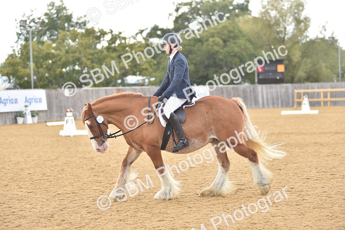 SBM_29627 - D16 -Small Tour Championship Novice 2