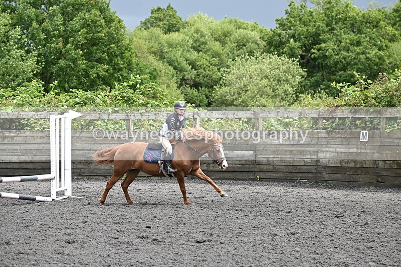 WJ6_0209 - Class 13 Novice 60cm