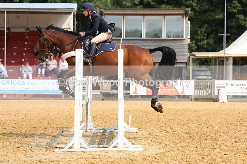 3E7A1275 - Class 4: Senior British Novice/90cm open
