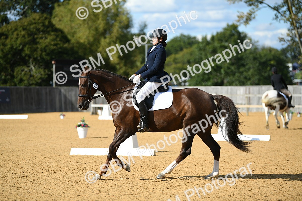 SBM_27074 - D16 - Small Tour Championship - Novice 28
