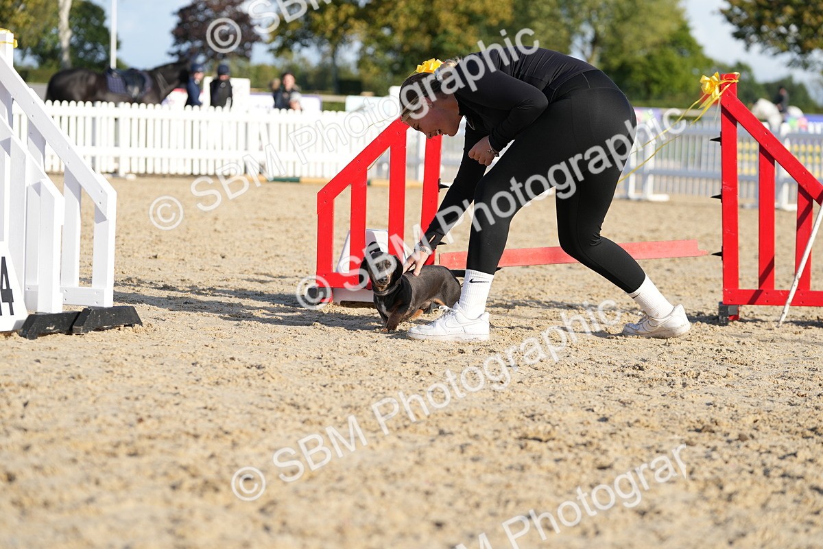 SBM_29034 - J43 - Horse & Hound Open 50cm