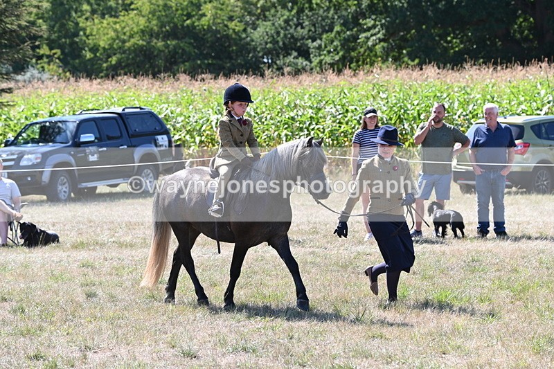 WJ6_7957 - Class 36 Lead Rein
