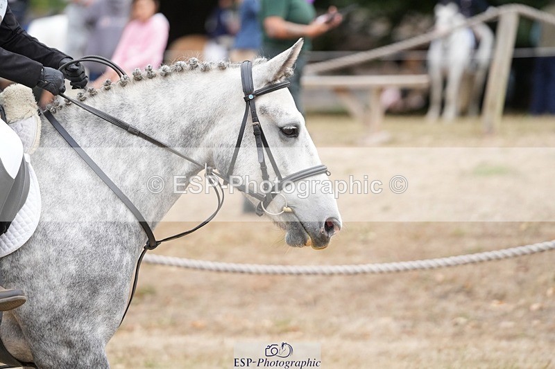 250820A-101107-02250 - Round 2, 9.45 to 10.45 Break