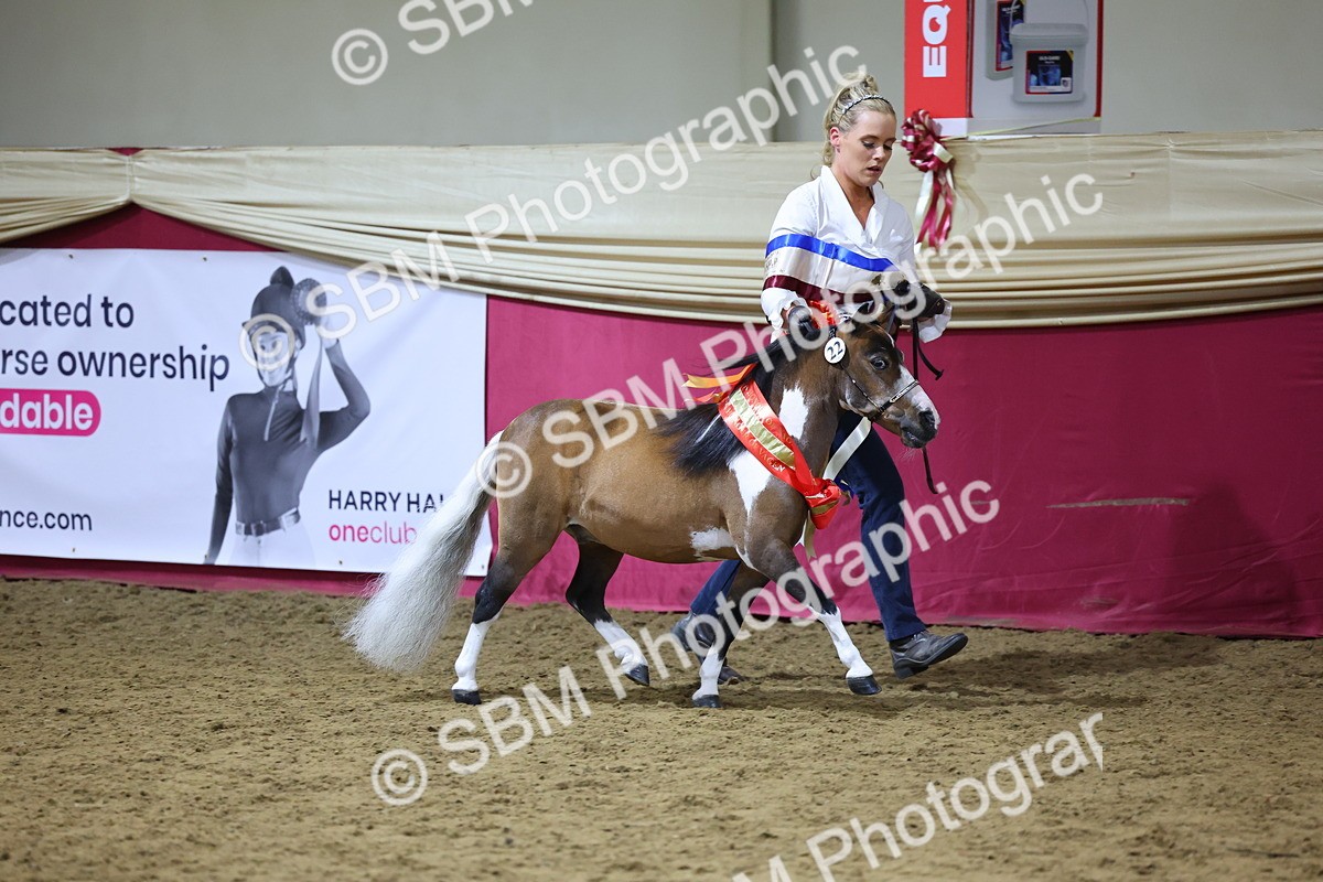 SBM_18722 - Class D IH Pony Champ